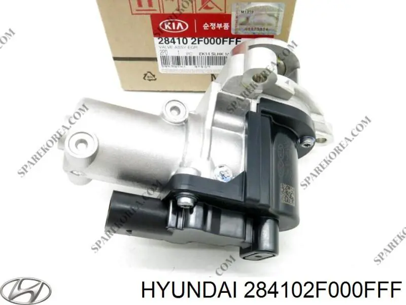 Válvula, AGR para Hyundai Santa Fe (DM)