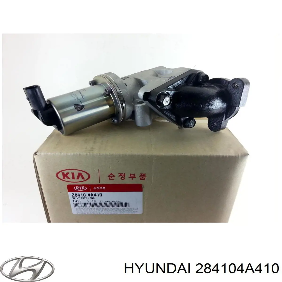 EGR Hyundai/Kia 284104A410