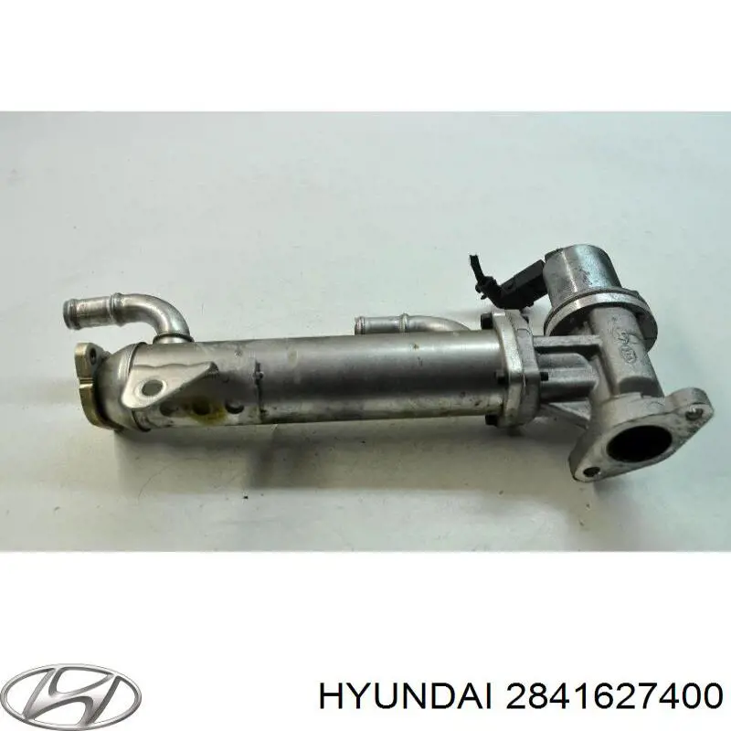 Enfriador EGR de recirculación de gases de escape Hyundai Santa Fe 2 CM