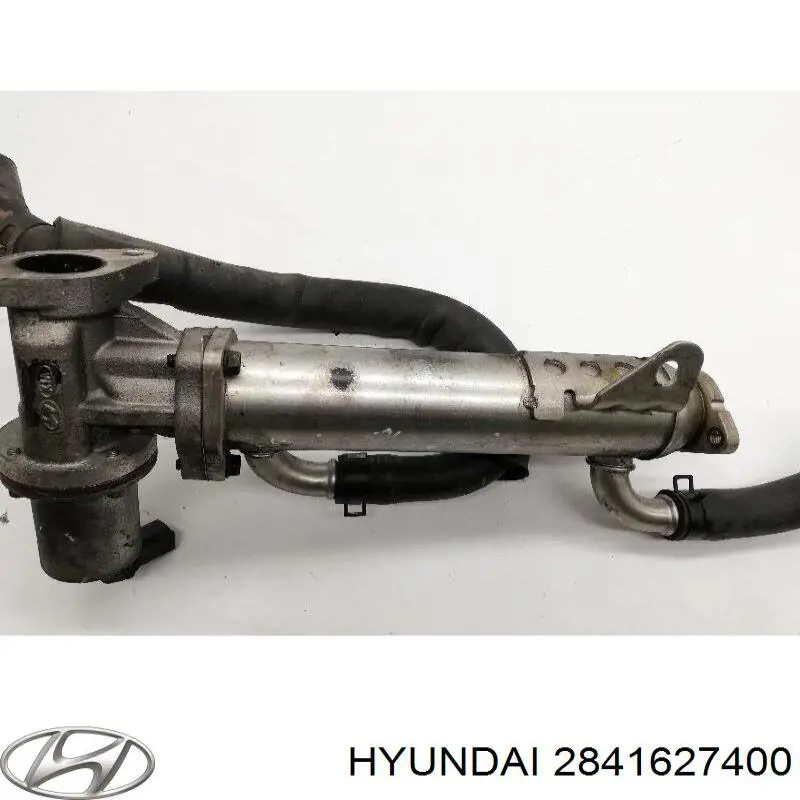 Enfriador EGR de recirculación de gases de escape Hyundai Santa Fe 2 CM