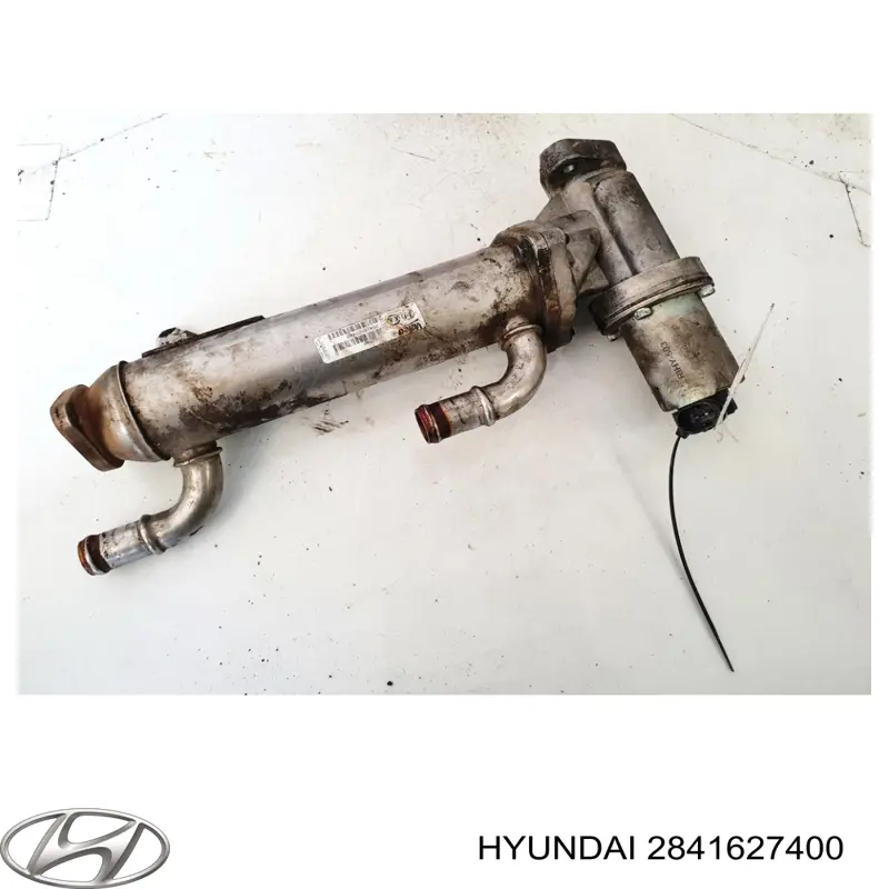 Enfriador EGR de recirculación de gases de escape Hyundai Santa Fe 2 CM