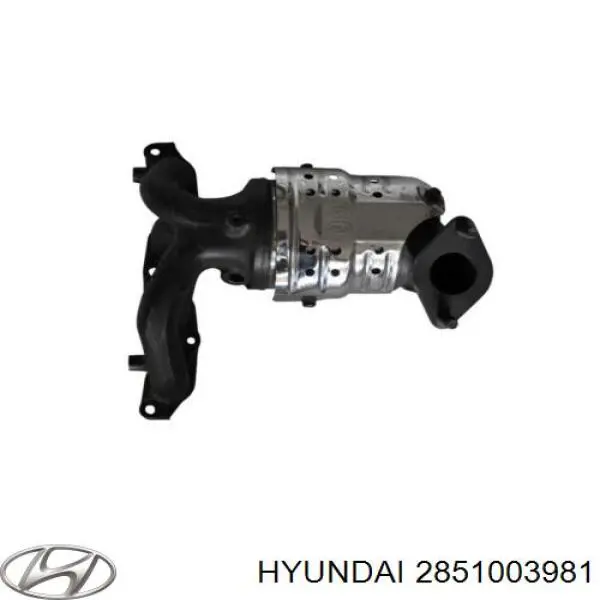 2851003981 Hyundai/Kia