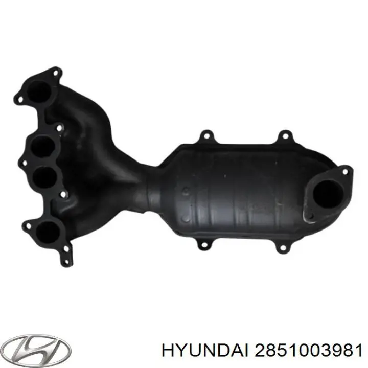 Catalizador Hyundai/Kia 2851003981 precio, desde 1129,66 EUR