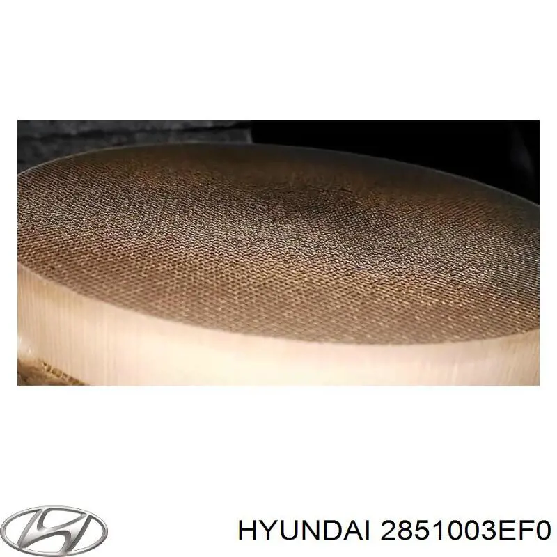 2851003EF0 Hyundai/Kia