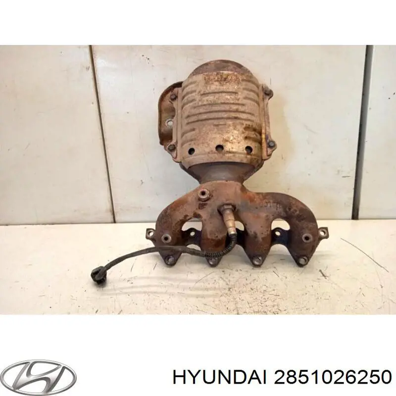 Colector de escape, sistema de escape Hyundai Getz hatchback (TB) (2002 - 2011) precio, desde 415,26 EUR