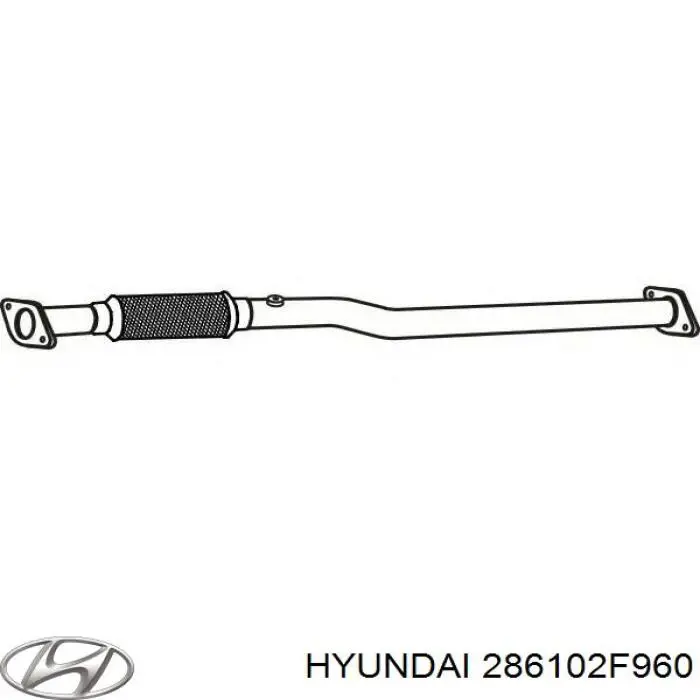 286102F960 Hyundai/Kia