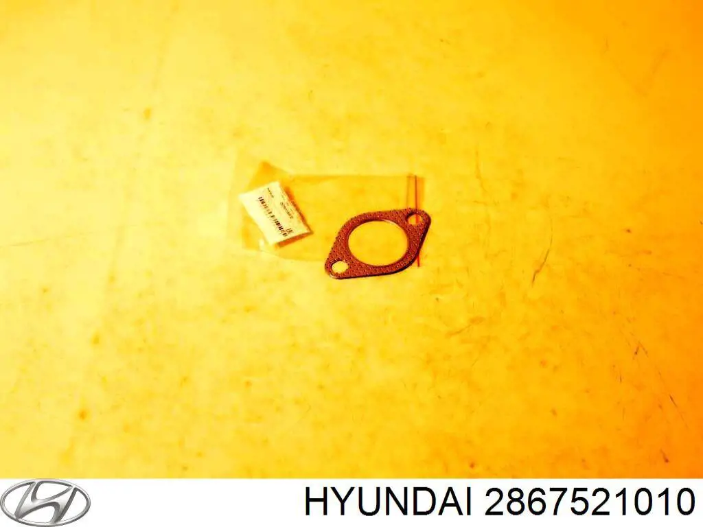 2867521010 Hyundai/Kia