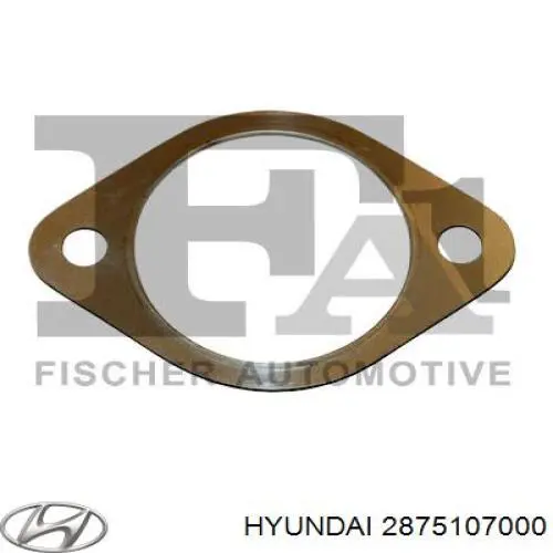 Comprar 2875107000 Hyundai/Kia 