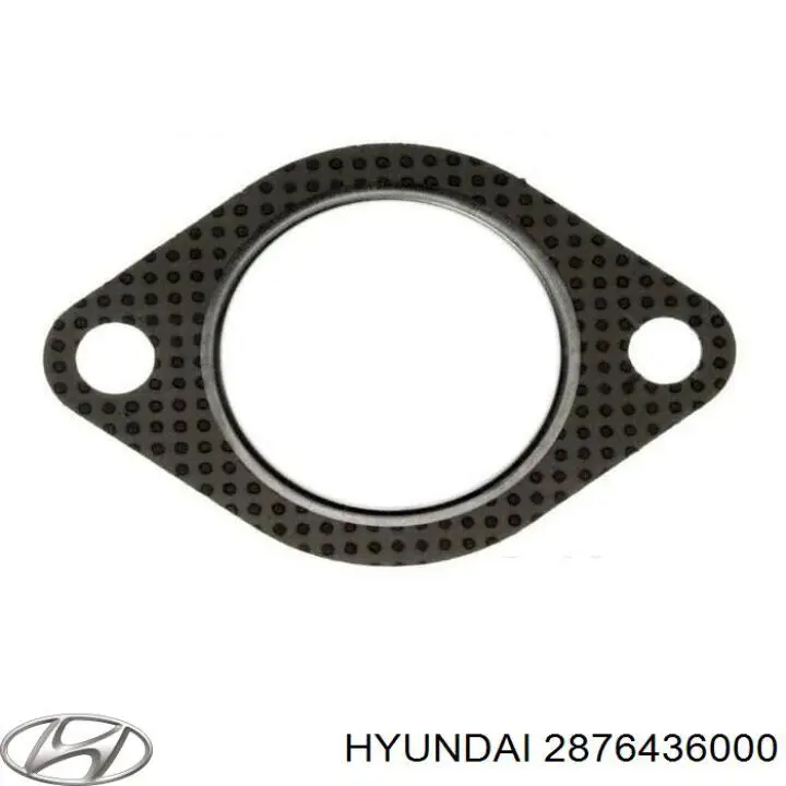 2876436000 Hyundai/Kia