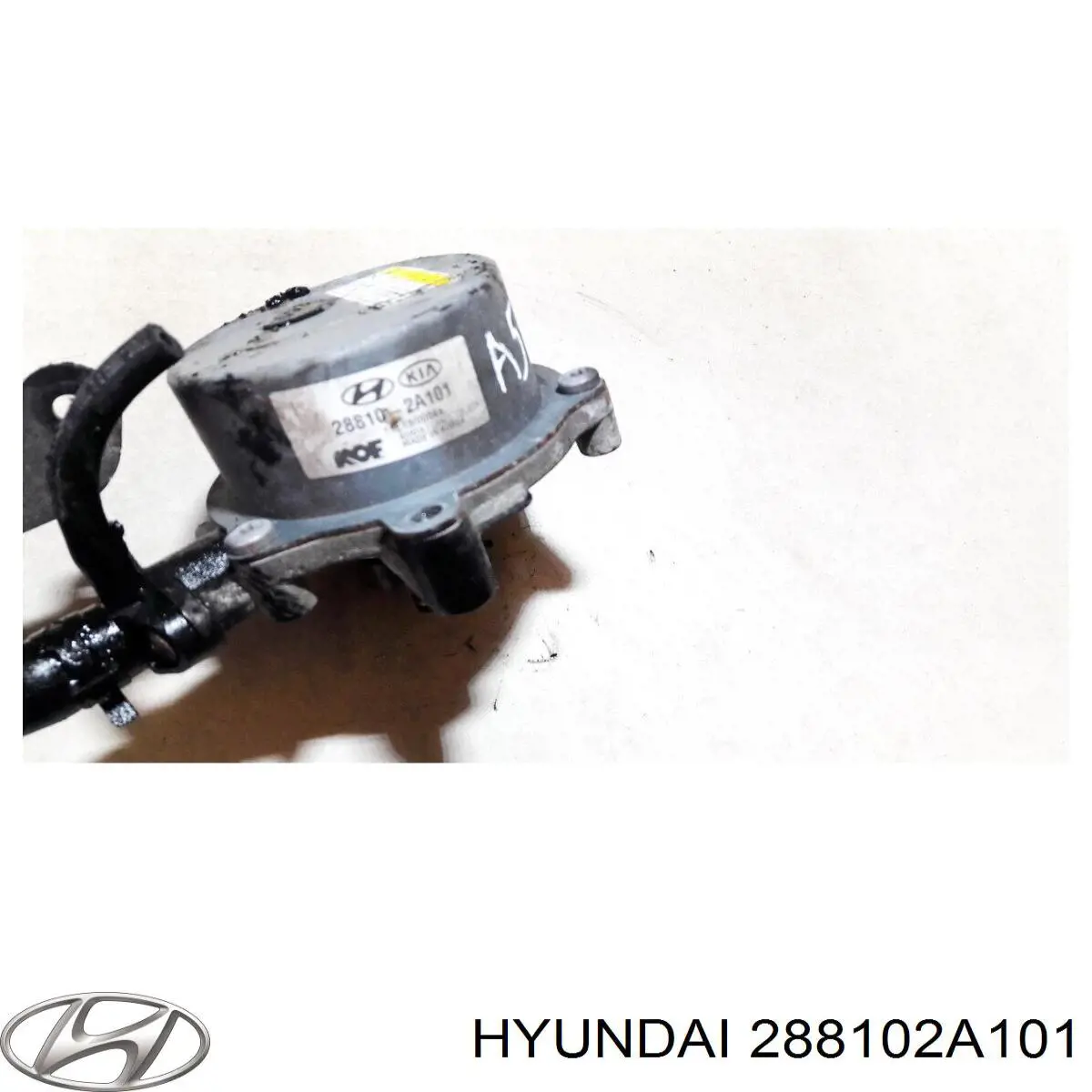 6E020085 Hyundai/Kia Bomba de vacío de frenado