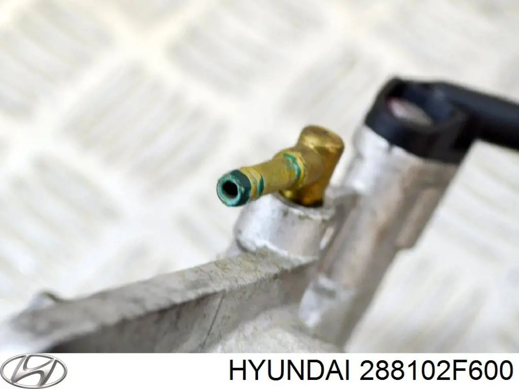 Bomba de vacío del sistema de frenado Hyundai/Kia 288102F600 precio, desde 103,09 EUR