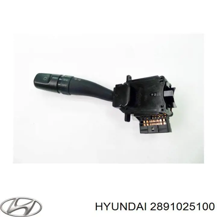 Válvula de purga del catalizador 2891025100 Hyundai/Kia