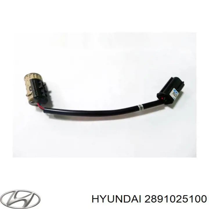 Válvula de purga del catalizador Hyundai/Kia 2891025100