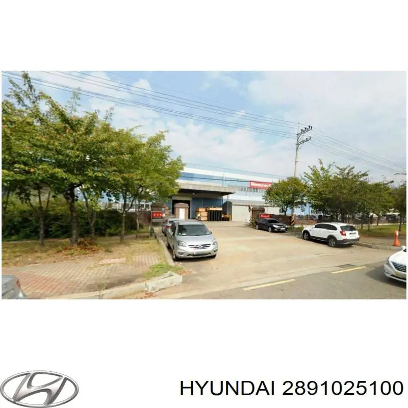 Válvula de purga del catalizador Hyundai/Kia 2891025100 precio, desde 30,47 EUR