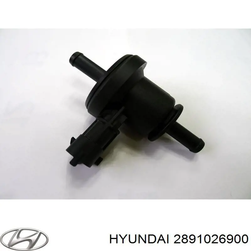 Válvula de purga del catalizador Bosch 0280142556 precio, desde 18,97 EUR