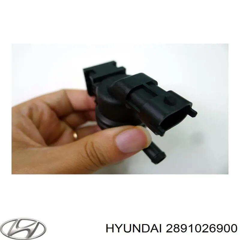 Válvula de purga del catalizador Hyundai/Kia 2891026900 precio, desde 18,86 EUR