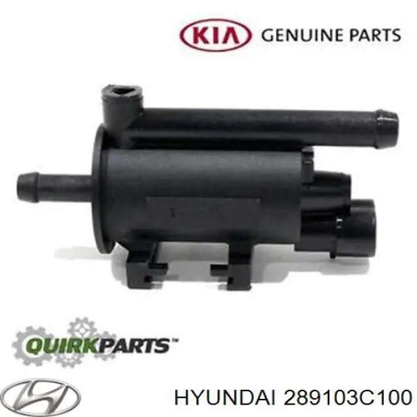Comprar 289103C100 Hyundai/Kia Válvula de ventilación de gases del tanque de combustible
