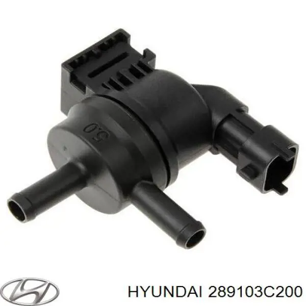 289103C200 Hyundai/Kia valvula de adsorcion de vapor de combustible
