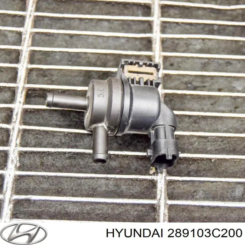 Válvula de purga de vapores de combustible KIA Sorento III SUV (UM) (2015 - 2020) precio, desde 26,14 EUR