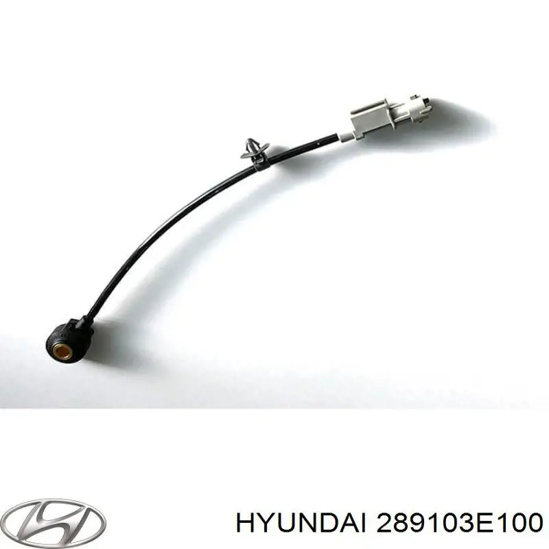 289103E100 Hyundai/Kia Válvula de purga del catalizador