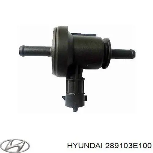 Válvula de purga del catalizador 289103E100 Hyundai/Kia
