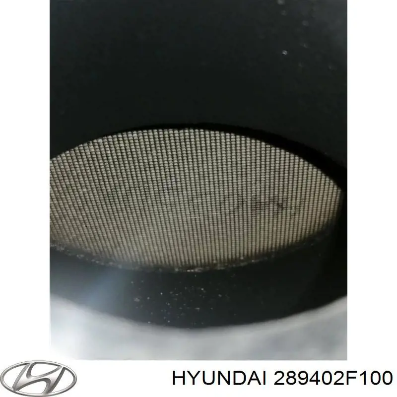 289402F100 Hyundai/Kia