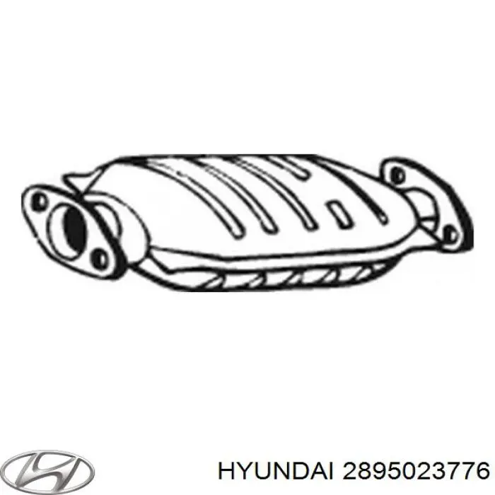 2895023776 Hyundai/Kia