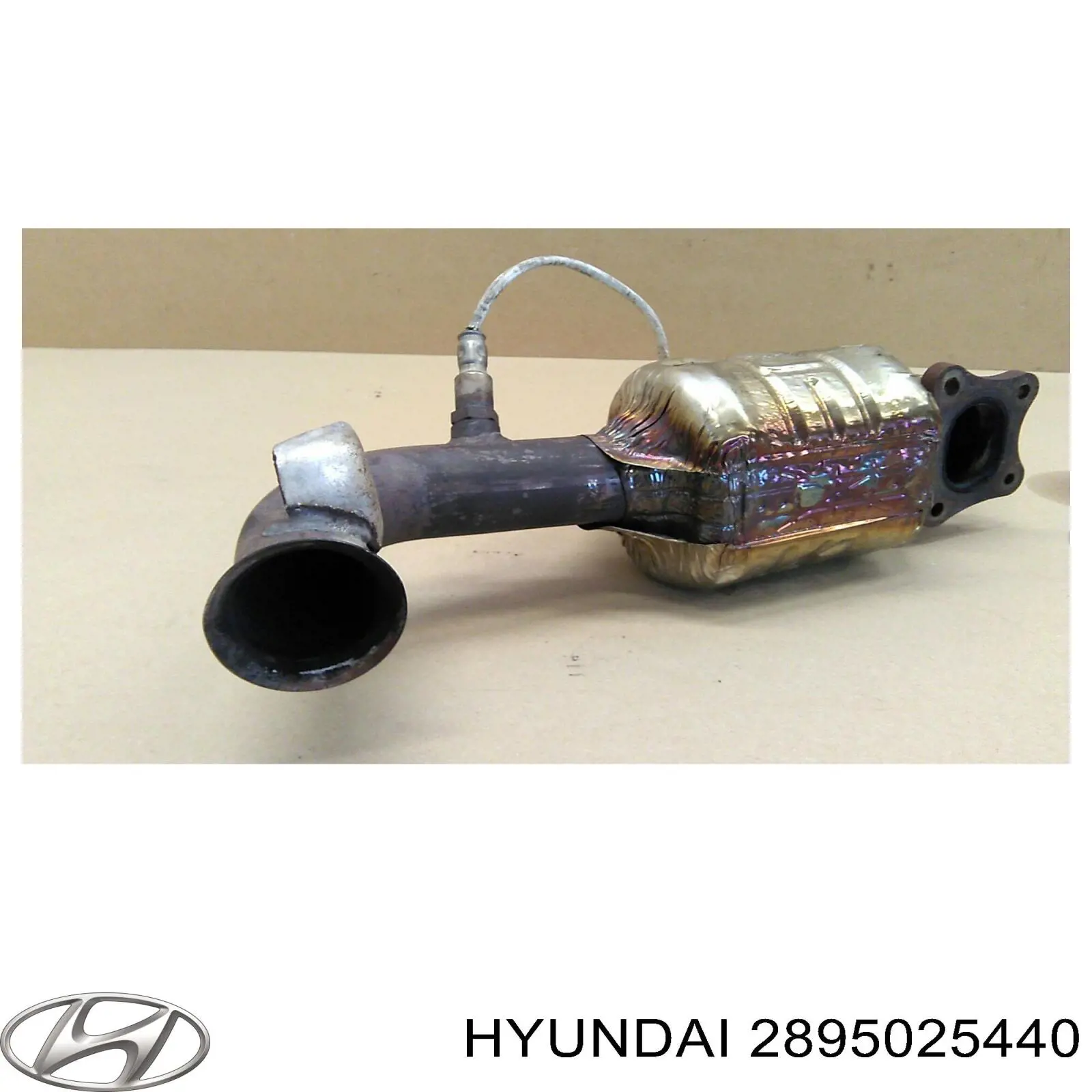 2895025440 Hyundai/Kia