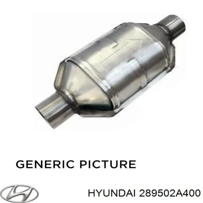 289502A400 Hyundai/Kia Catalizador de gasolina y diésel