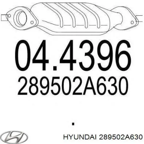 289502A630 Hyundai/Kia