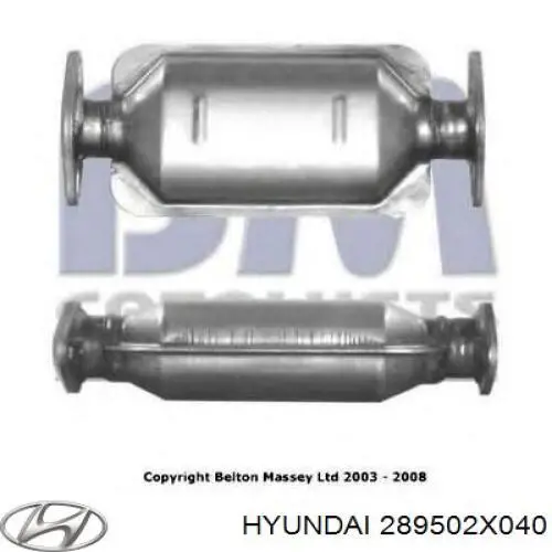 289502X040 Hyundai/Kia catalizador