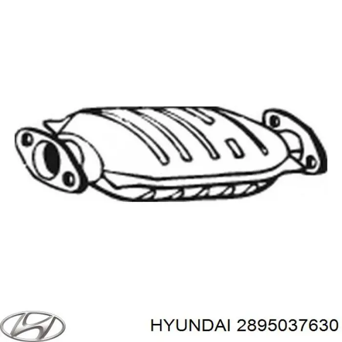 2895037630 Hyundai/Kia catalizador