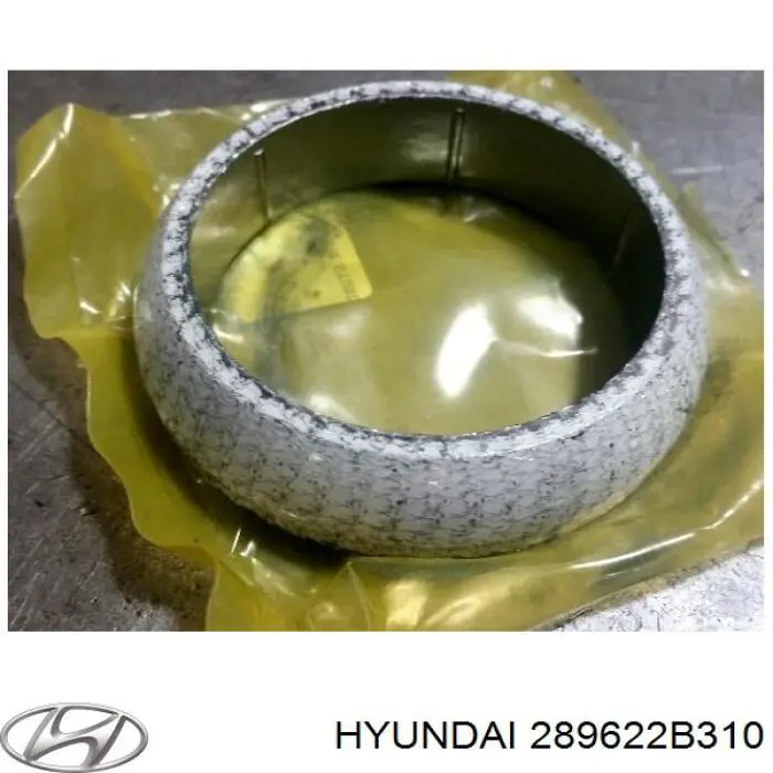 Comprar 289622B310 Hyundai/Kia Junta de escape