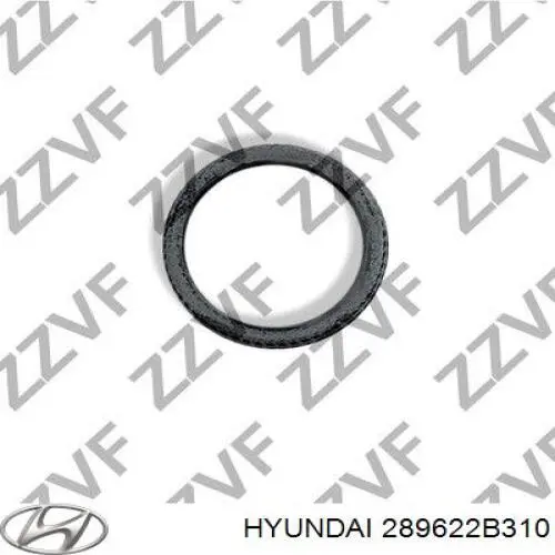 Junta de tubo de escape Hyundai/Kia 289622B310 precio, desde 6,74 EUR