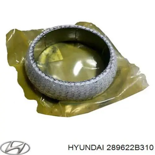 289622B310 Hyundai/Kia junta, tubo de escape silenciador