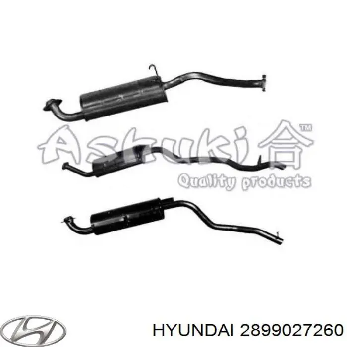 S2899027260 Hyundai/Kia