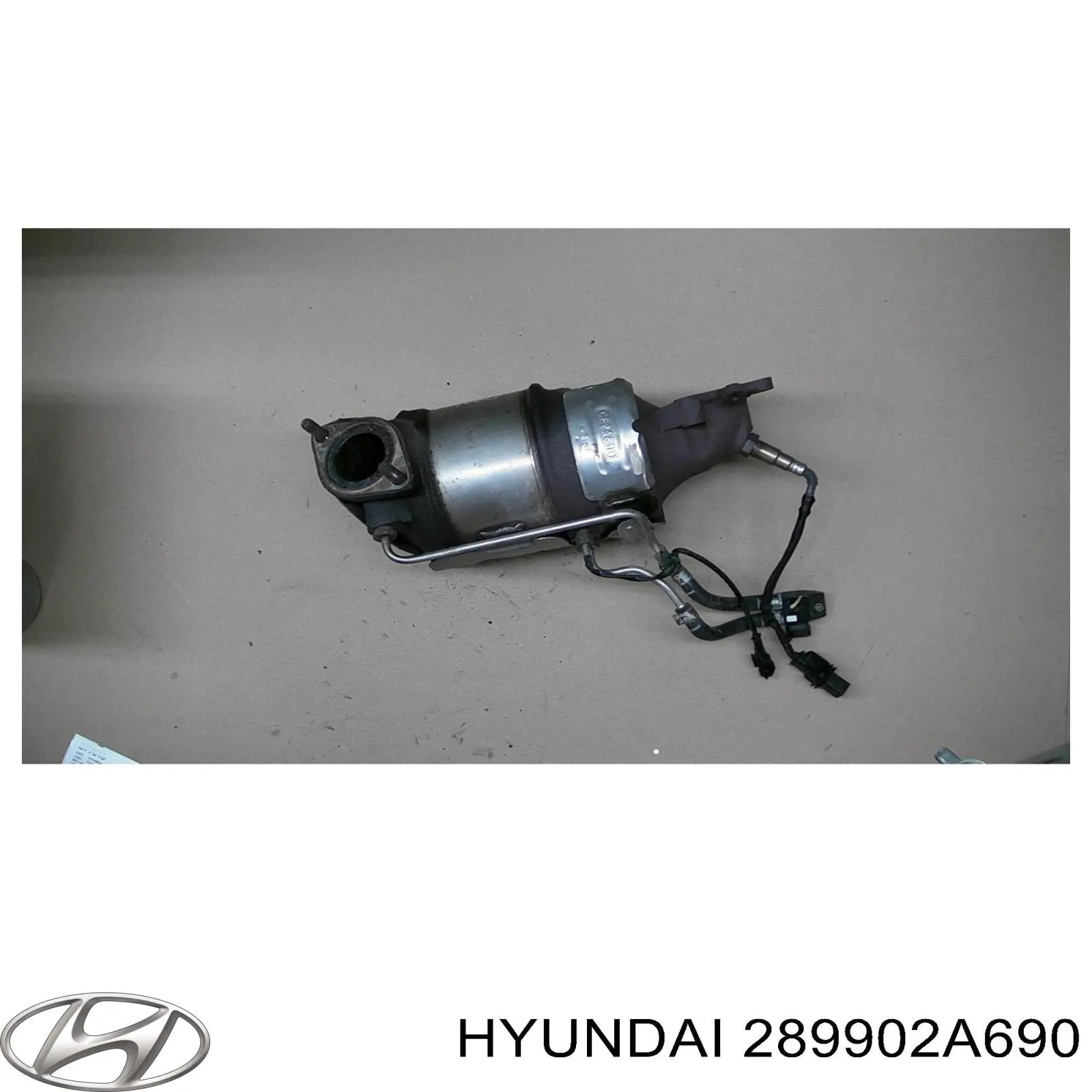 S289902A690 Hyundai/Kia Catalizador de gasolina y diésel