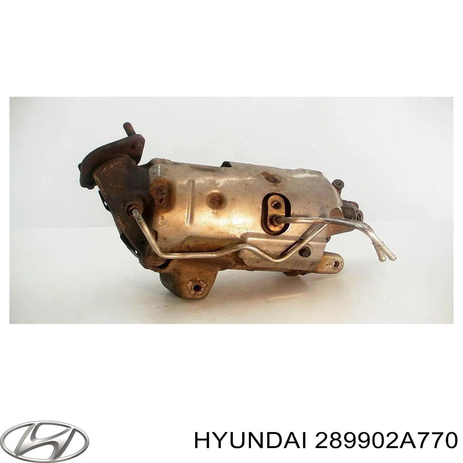 Comprar S289902A760 Hyundai/Kia Filtro de partículas (FAP)