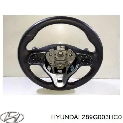 289G003HC0 Hyundai/Kia