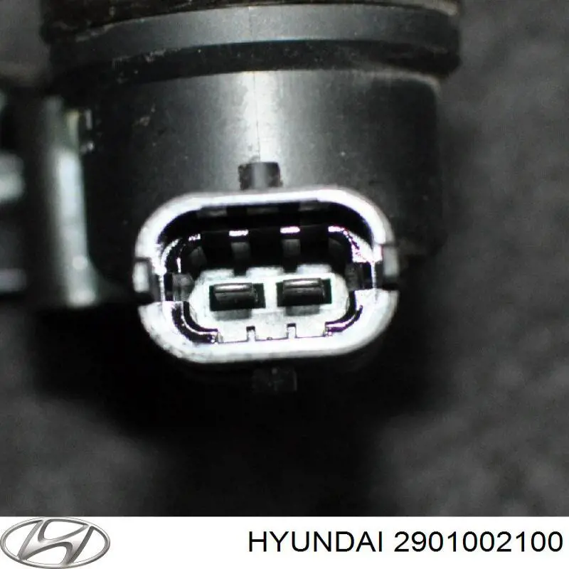 Comprar 2901002100 Hyundai/Kia 