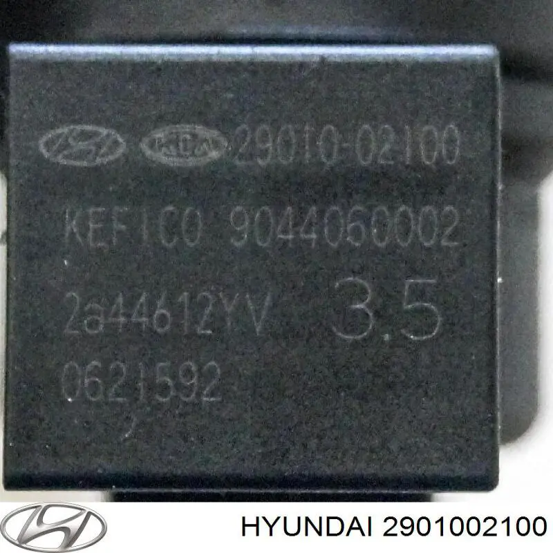  2901002100 Hyundai/Kia