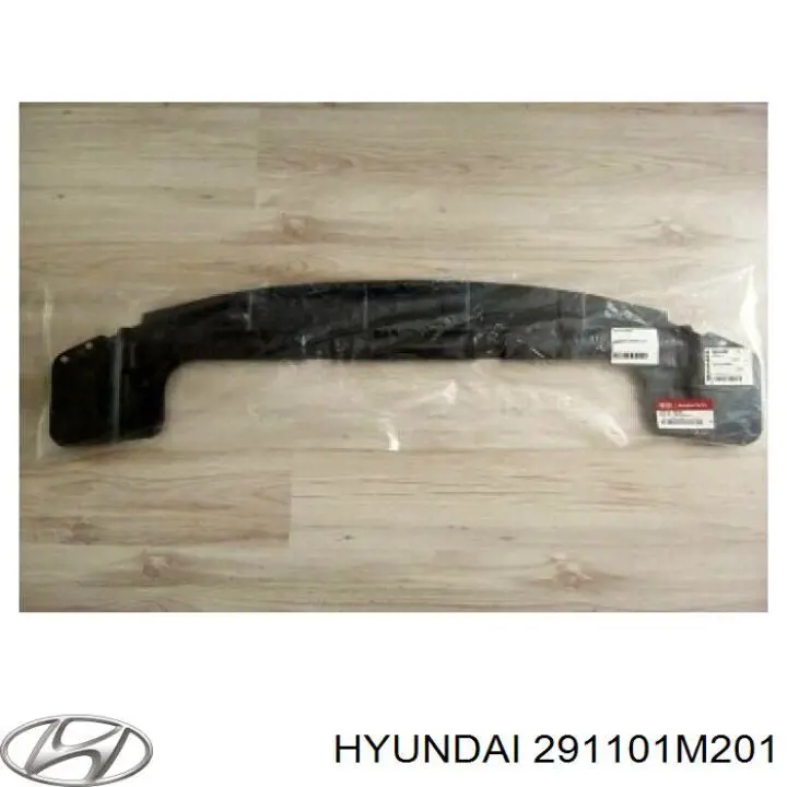 291101M201 Hyundai/Kia protección motor delantera