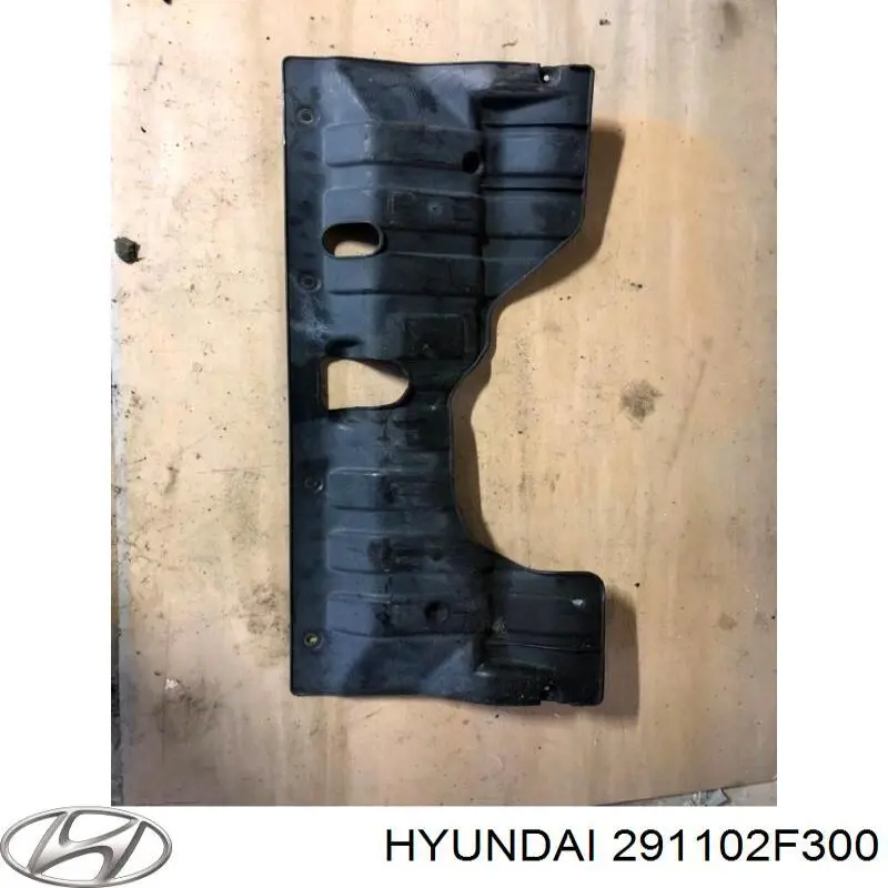 291102F300 Hyundai/Kia protección motor /empotramiento