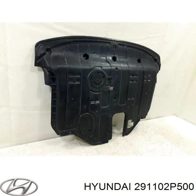 291102P500 Hyundai/Kia Protección de cárter