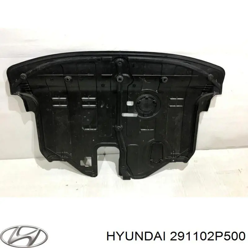 291102P500 Hyundai/Kia protección motor /empotramiento