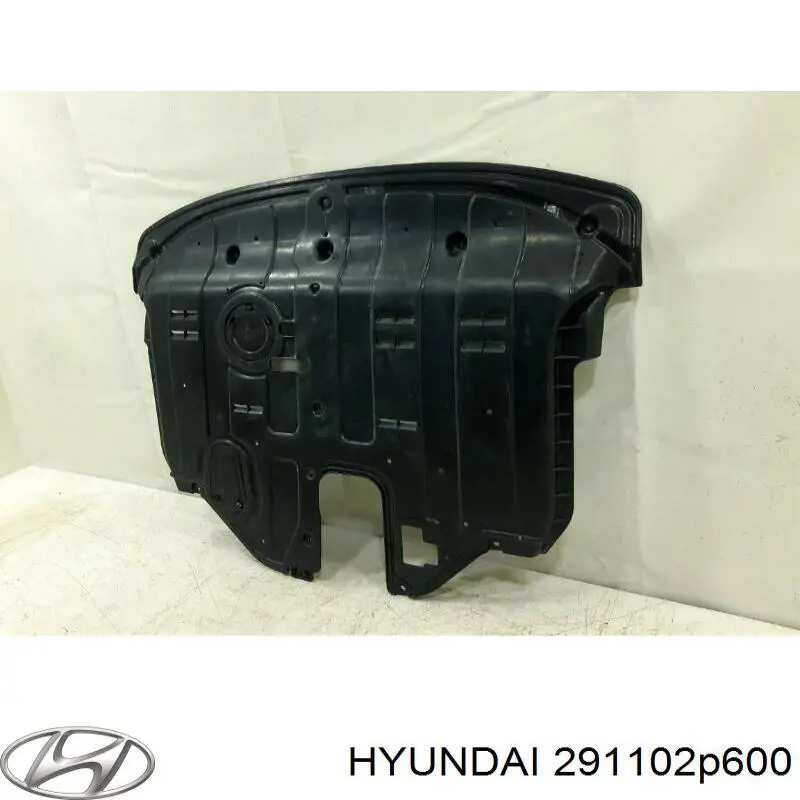 Protección de cárter Hyundai/Kia 291102P600 precio, desde 640,62 EUR