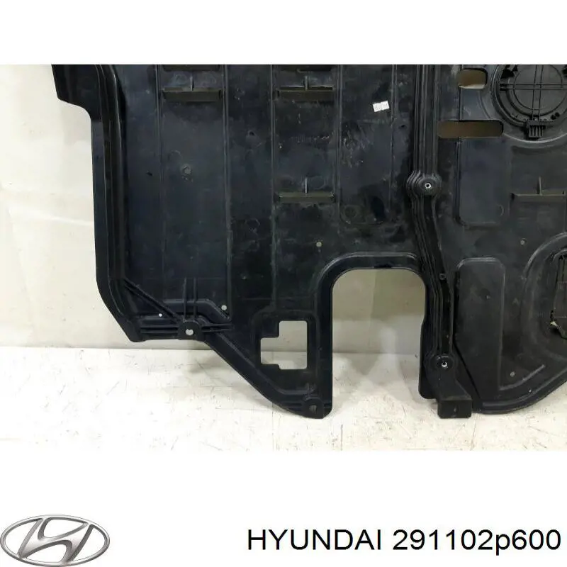 291102P600 Hyundai/Kia Protección de cárter