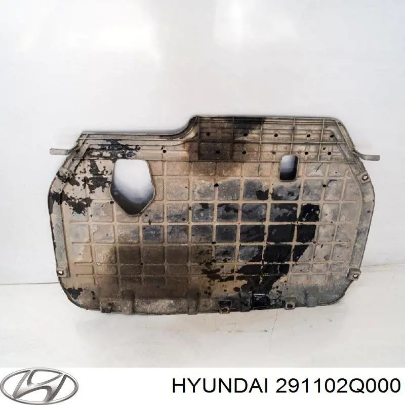 291102Q000 Hyundai/Kia