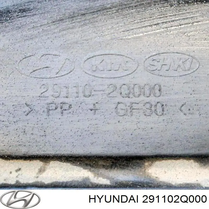 Comprar 291102H300 Hyundai/Kia Protección motor / empotramiento
