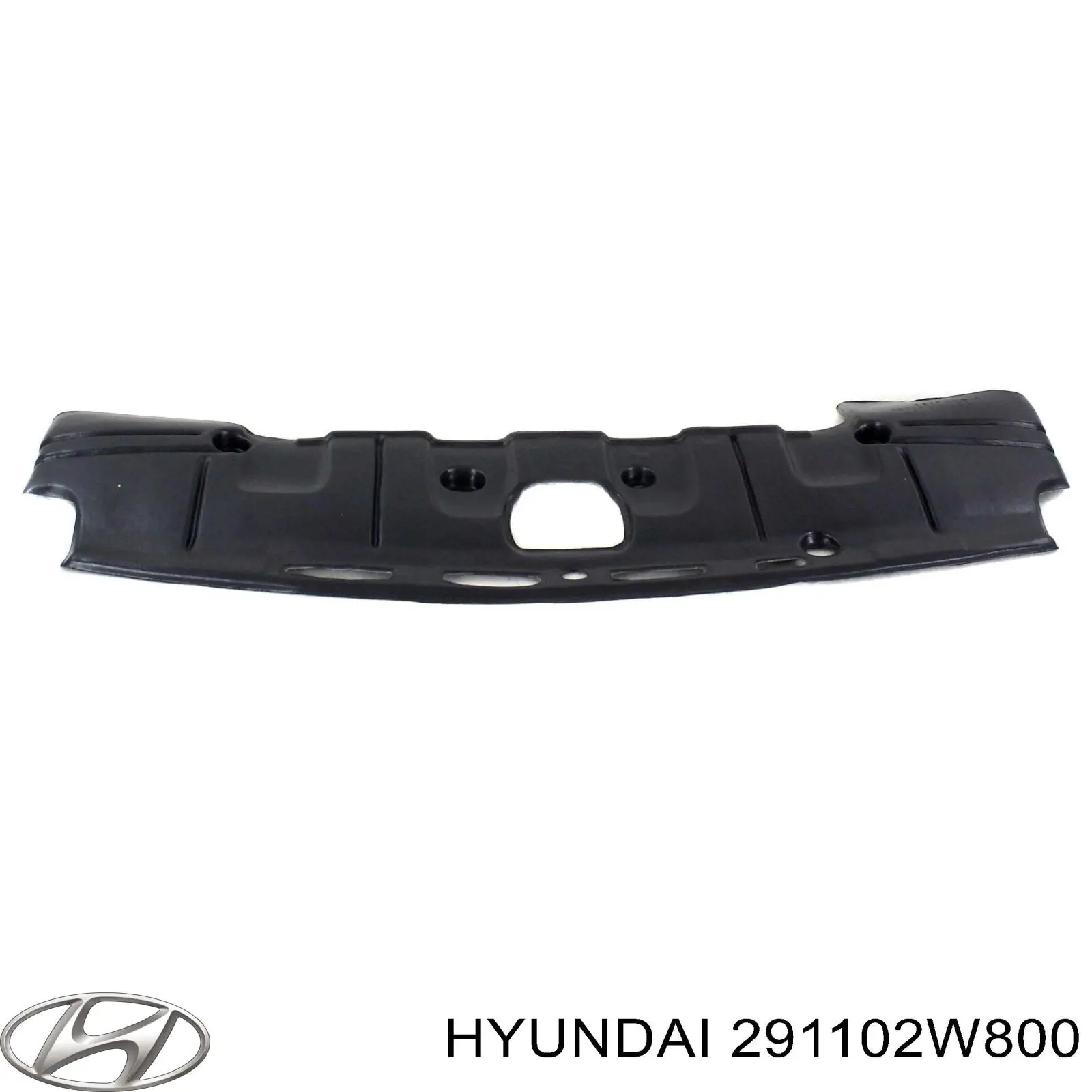 291102W800 Hyundai/Kia protección motor /empotramiento